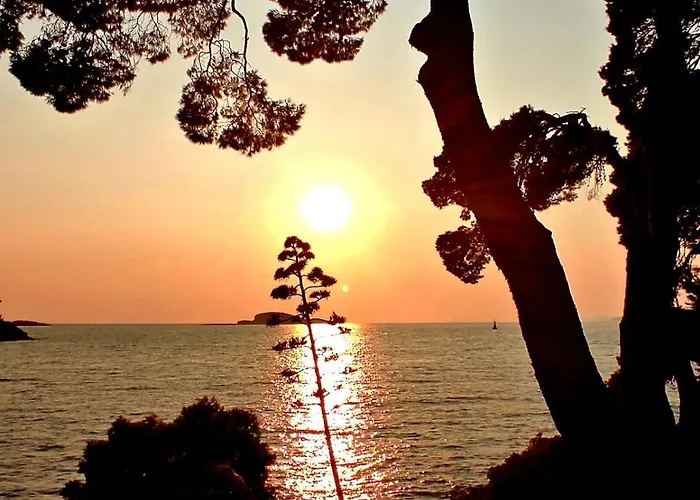 Sea View Dominique *