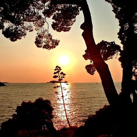 Sea View Dominique *